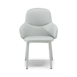 Natuzzi Edgar-käsinojatuoli
